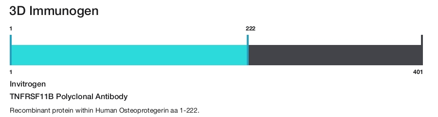 TNFRSF11B Polyclonal Antibody