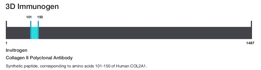 Collagen II Polyclonal Antibody
