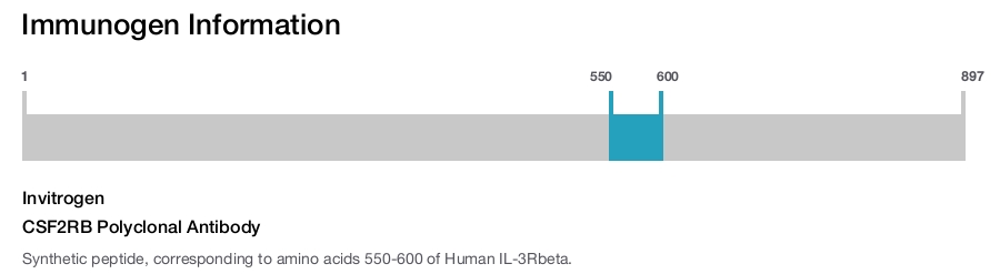 CSF2RB Polyclonal Antibody