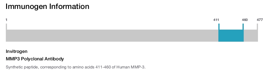 MMP3 Polyclonal Antibody