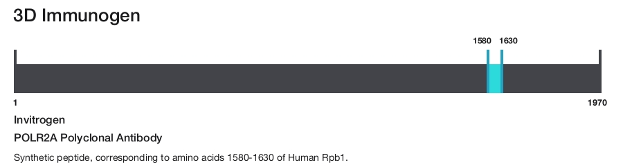 POLR2A Polyclonal Antibody