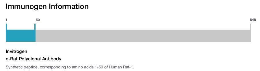 c-Raf Polyclonal Antibody