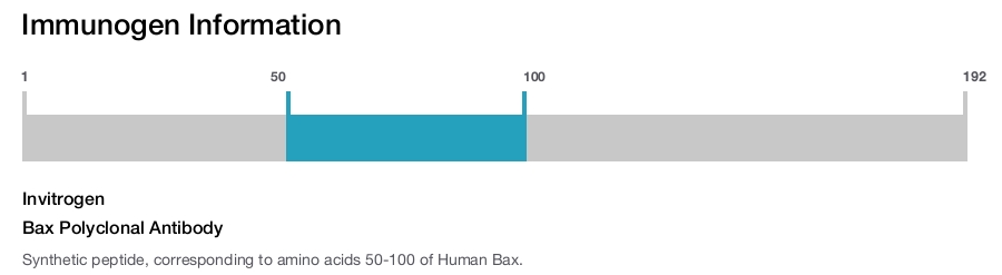 Bax Polyclonal Antibody