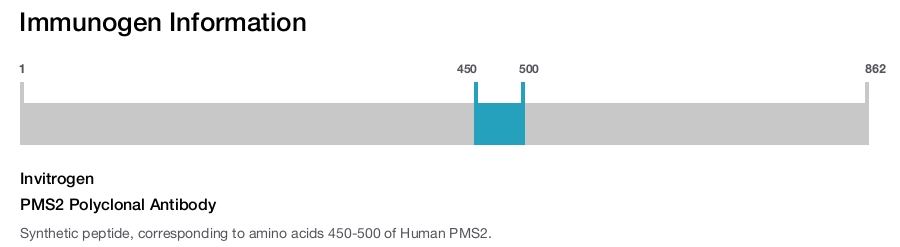 PMS2 Polyclonal Antibody