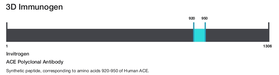ACE Polyclonal Antibody