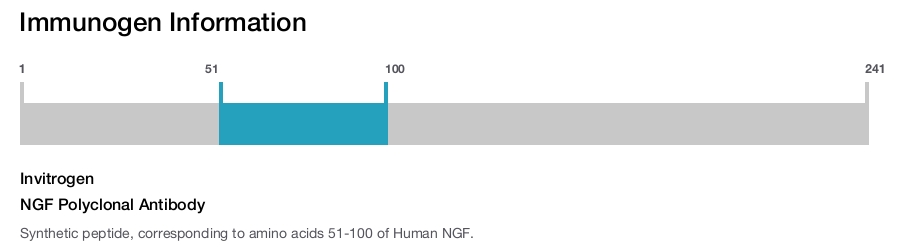 NGF Polyclonal Antibody