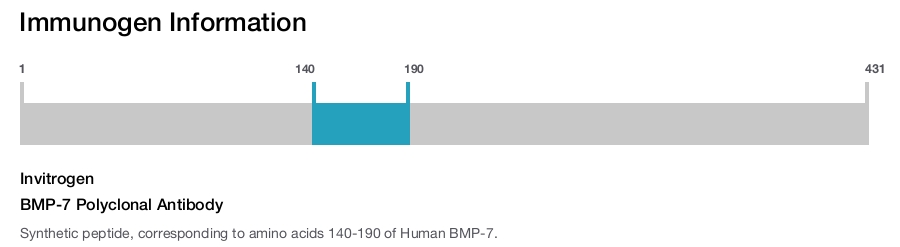 BMP-7 Polyclonal Antibody