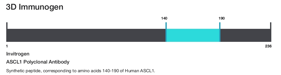 ASCL1 Polyclonal Antibody