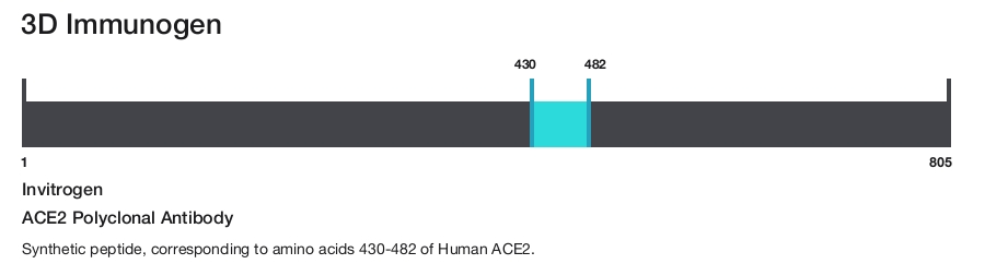 ACE2 Polyclonal Antibody