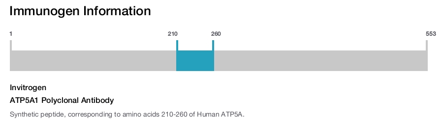 ATP5A1 Polyclonal Antibody