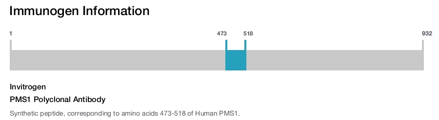 PMS1 Polyclonal Antibody