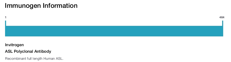 ASL Polyclonal Antibody
