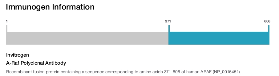 A-Raf Polyclonal Antibody