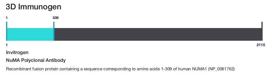 NuMA Polyclonal Antibody