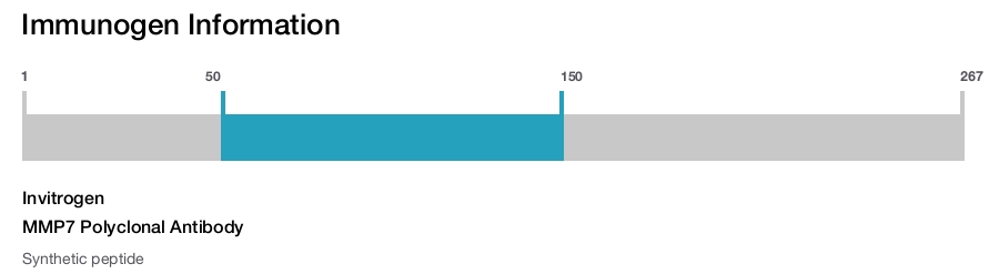 MMP7 Polyclonal Antibody