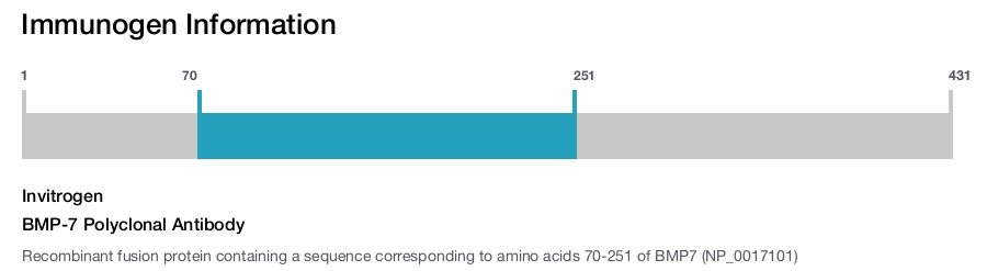 BMP-7 Polyclonal Antibody