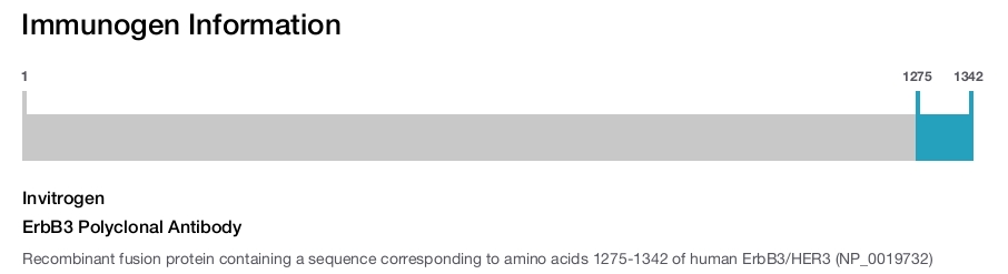 ErbB3 Polyclonal Antibody