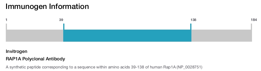 RAP1A Polyclonal Antibody