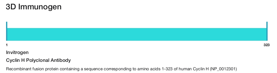 Cyclin H Polyclonal Antibody