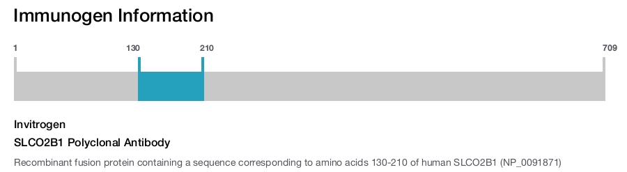 SLCO2B1 Polyclonal Antibody