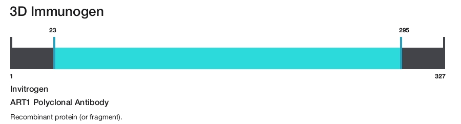 ART1 Polyclonal Antibody