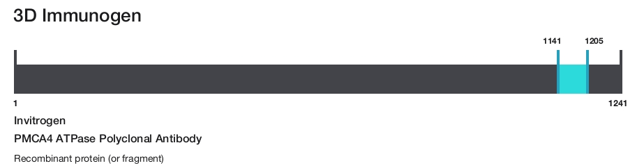 PMCA4 ATPase Polyclonal Antibody