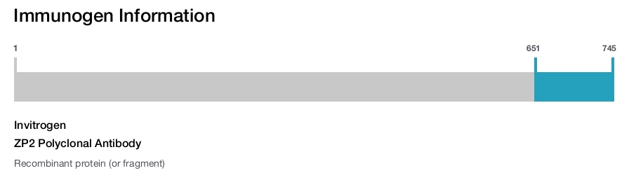 ZP2 Polyclonal Antibody