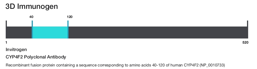 CYP4F2 Polyclonal Antibody