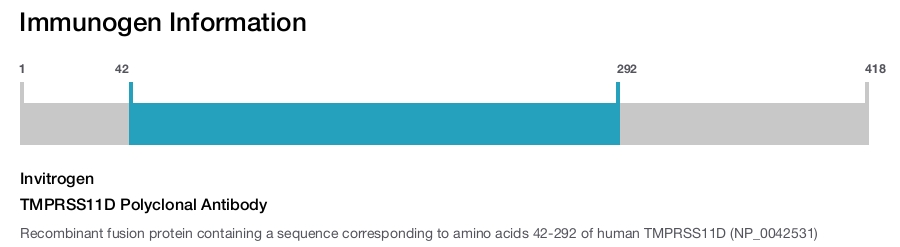 TMPRSS11D Polyclonal Antibody