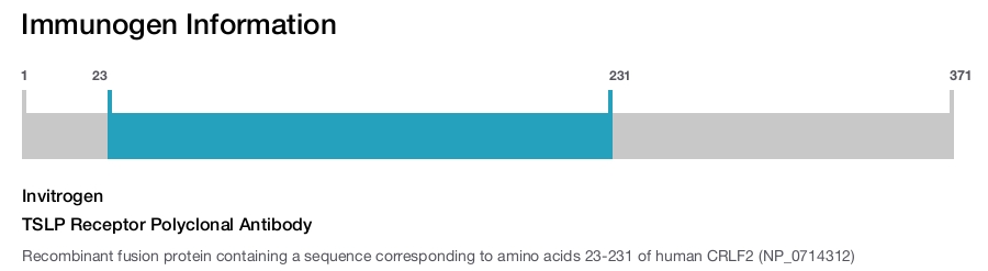 TSLP Receptor Polyclonal Antibody