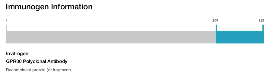 GPR30 Polyclonal Antibody