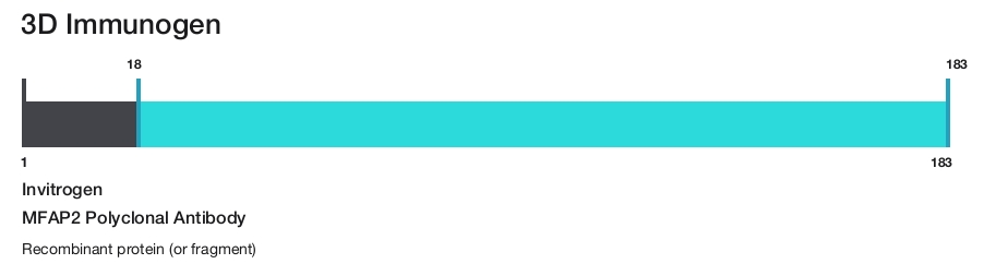 MFAP2 Polyclonal Antibody