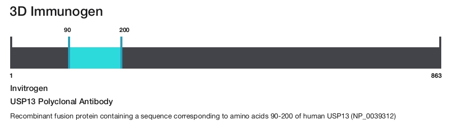 USP13 Polyclonal Antibody