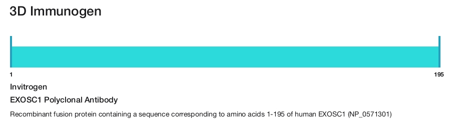 EXOSC1 Polyclonal Antibody