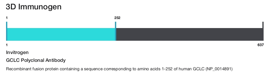 GCLC Polyclonal Antibody