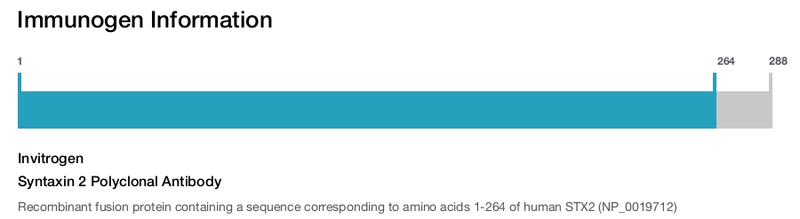 Syntaxin 2 Polyclonal Antibody