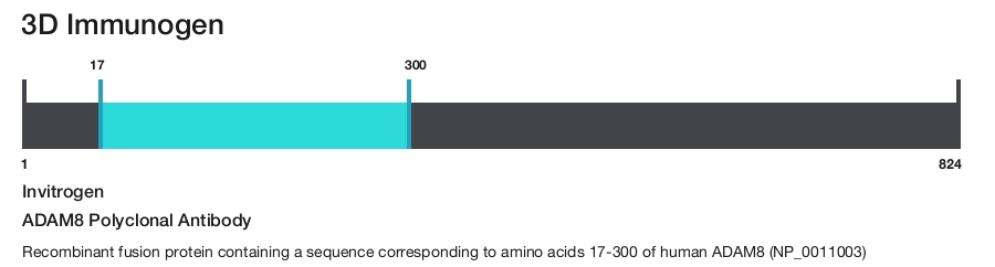 ADAM8 Polyclonal Antibody