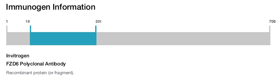 FZD6 Polyclonal Antibody