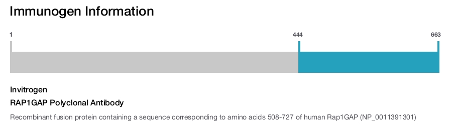 RAP1GAP Polyclonal Antibody
