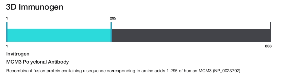 MCM3 Polyclonal Antibody