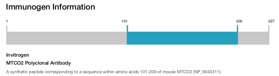 MTCO2 Polyclonal Antibody