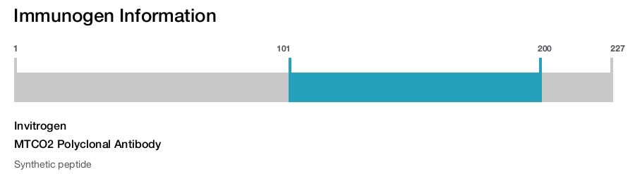 MTCO2 Polyclonal Antibody