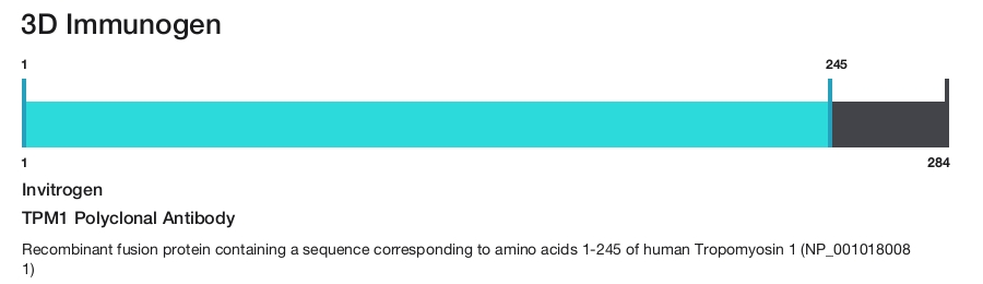 TPM1 Polyclonal Antibody