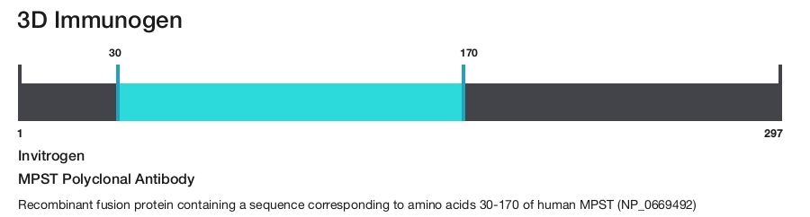 MPST Polyclonal Antibody