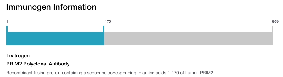 PRIM2 Polyclonal Antibody