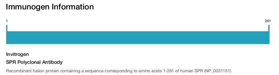 SPR Polyclonal Antibody