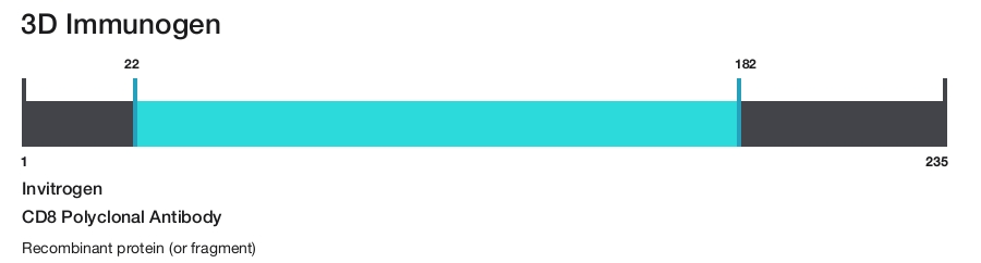 CD8 Polyclonal Antibody
