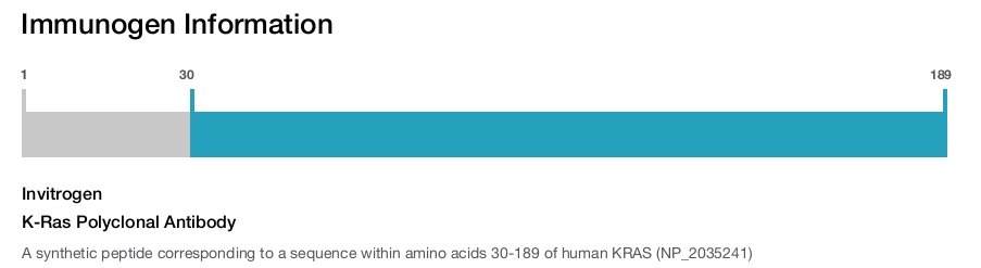 K-Ras Polyclonal Antibody