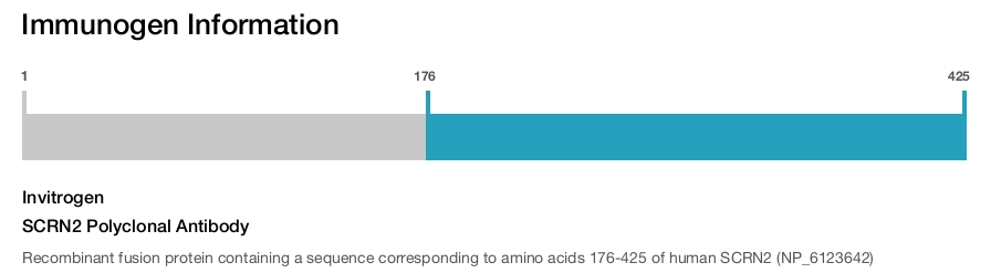 SCRN2 Polyclonal Antibody
