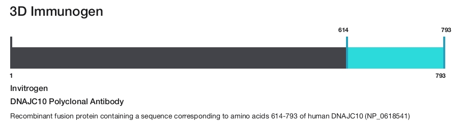 DNAJC10 Polyclonal Antibody
